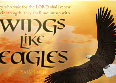 Wings of Eagles