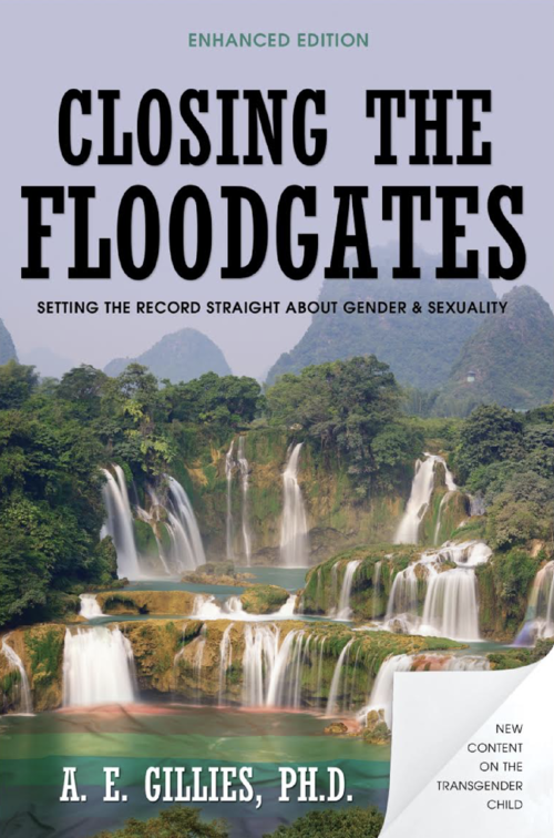 Closing the Floodgates – eBook Version